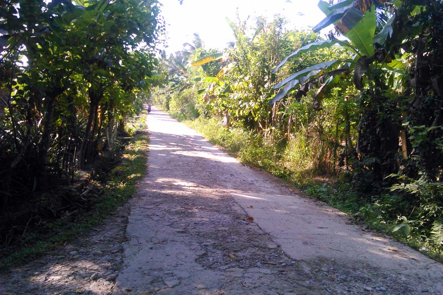 Jalan tempat WA membuang jasad Afriza